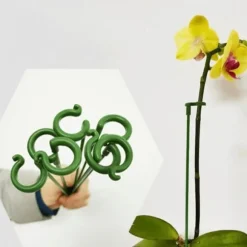 Växtställ - Support för Växter/Blommor i jord - 37 cm