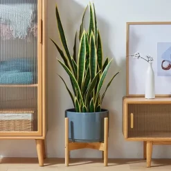 Växtställning, Bambumaterial, Mått 50cm x 30cm x 80cm, Viktkapacitet 20kg per hylla, Inomhus- och utomhuskompatibilitet, Självständig installation