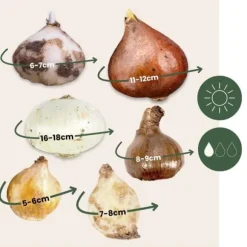 Wild Bee Hotel Box - 60 lökar - Bygg bihotell guide - Vinterhärdig