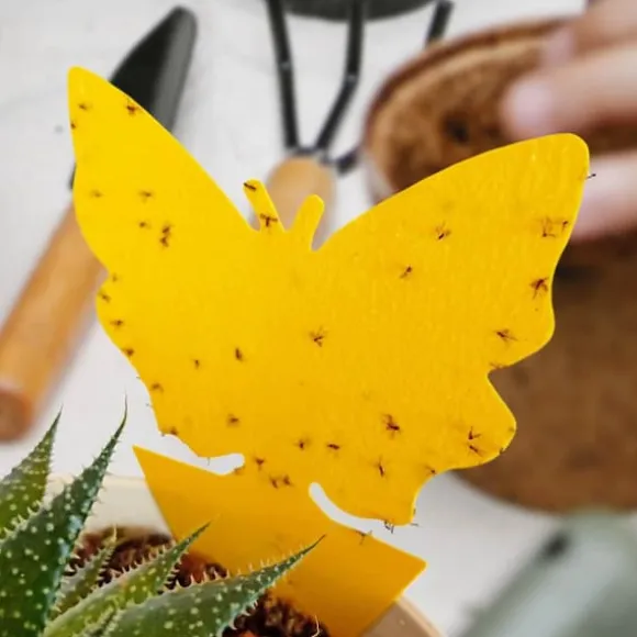 12x Insektsfällor till Plantor