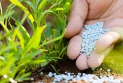 Yara Mila Hydrokomplexgödsel för gräs Ampol 10kg