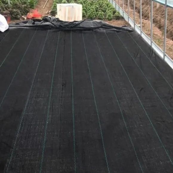 YUENFONG Mulchduk, Anti Ogräs 100 g-m², Rivbeständig, Anti-UV och vattengenomsläpplig, Svart (2×10 m)