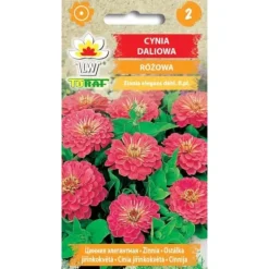 Zinnia dahlia ROSA 1g